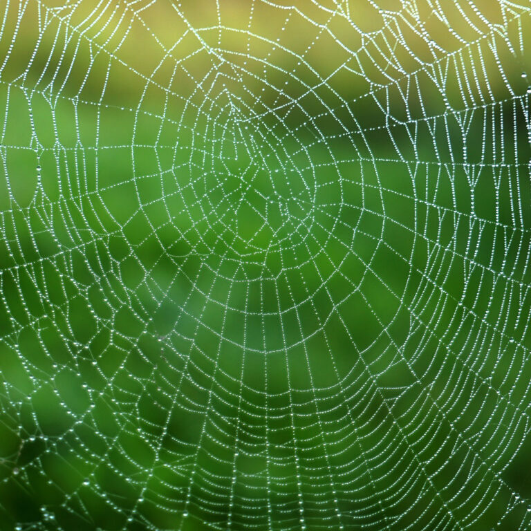 Moon Ki의 좋은 아침입니다 with Dan Dara       [HOST: Moon Ki]