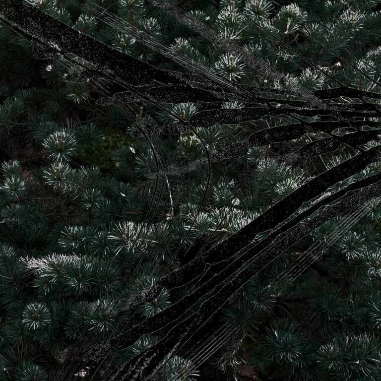 Icy Sounds     [HOST: AEIDA]