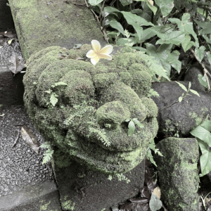 산보      [HOST: sofolofo]