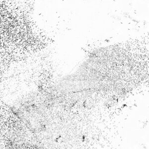 o0O0o     [HOST: miedo]