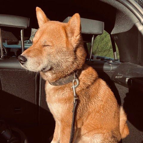 Samon       [HOST: Samon]