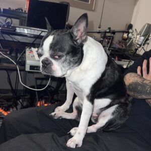 Sonic Odyssey       [HOST: Livigesh]