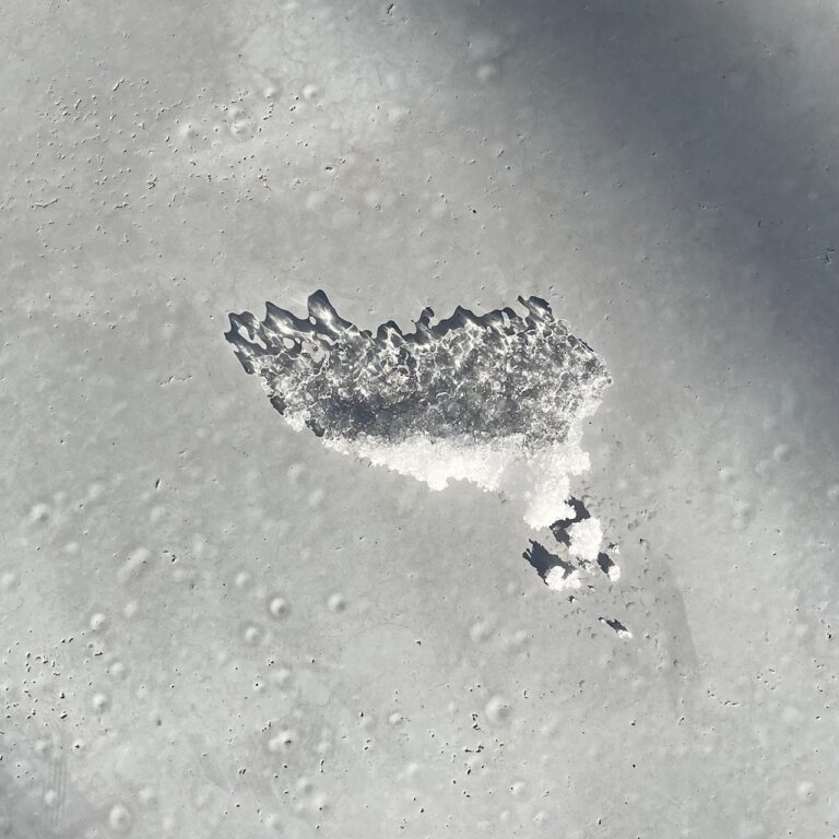 Monthly Pleasure        [HOST: Moontaek Oh]