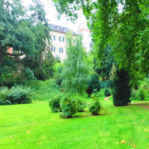 Hot Zigetty! with Seoul Cult    [HOST: Seyn]