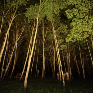 Lyen        [HOST: Lyen]