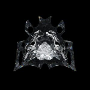 Raw Hearts     [HOST: Raw Hearts]