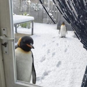 Hill The Beats with Quandol      [HOST: Sina Hill]