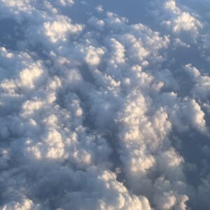 Wugetz B2B Green Digger     [HOST: Wugetz]