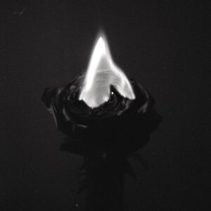 아름둘 라디오     [HOST: Joseon Tailor]