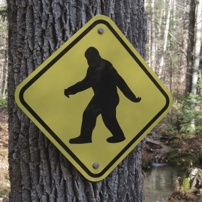 sasquatch        [HOST: sasquatch]